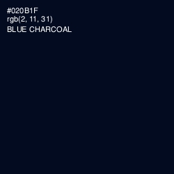 #020B1F - Blue Charcoal Color Image